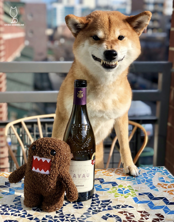 Screenshot 2025-10-21 at 121027AM